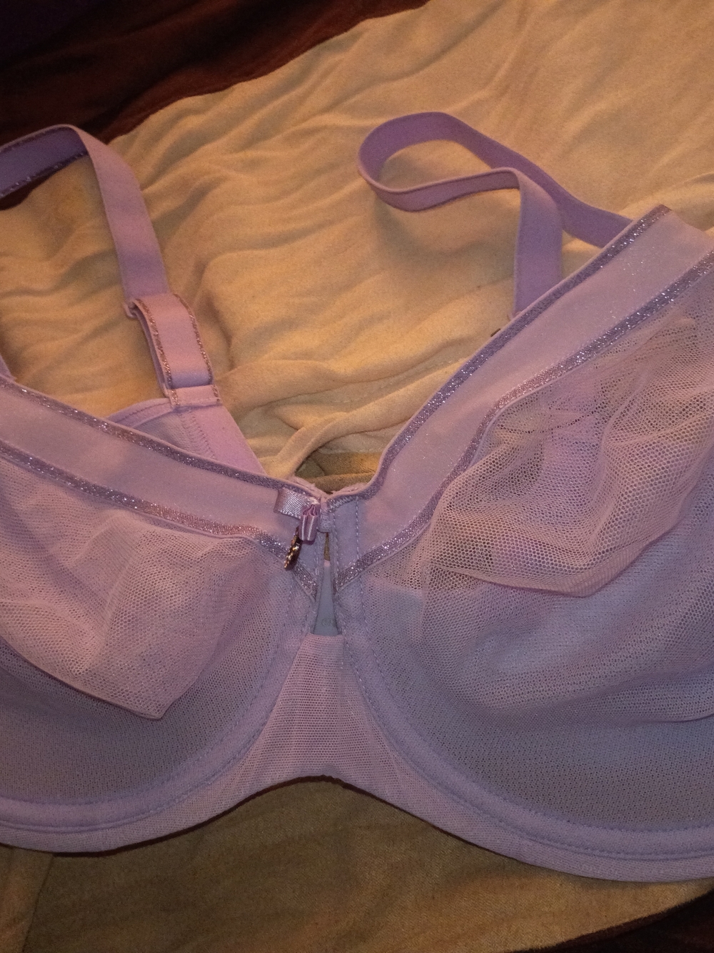 Curvy Couture Lavender Mesh Underwire Bra with Bow Accent